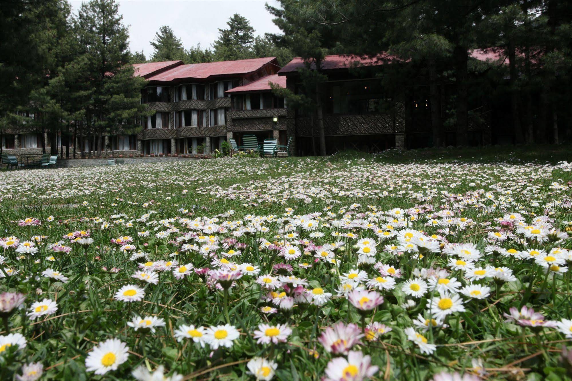 Hotel Senator Pine N Peak Pahalgām Esterno foto